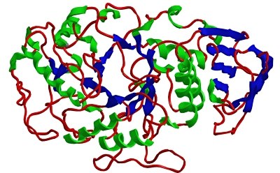 Large Molecule HPLC