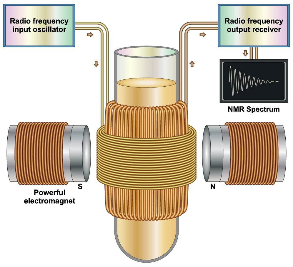 Nuclear magnetic resonance diagram Diagrama de ressonância magnética nuclear que ilustra como o espectro da RMN, com base na interação dos estados de rotação (spin) nuclear com um campo magnético poderoso.