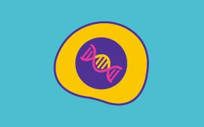 Illustration featuring a stylized cell with a DNA helix in the center, surrounded by a purple circle and yellow ring, against a teal background. Below is the text ‘Cell Lines & Expression Technologies.