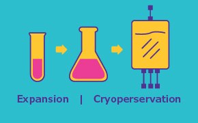 Expansion & Cryopreservation