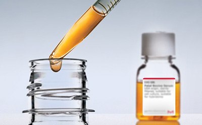 Cell culture serum drops from pipette Cell culture serum drops from pipette
