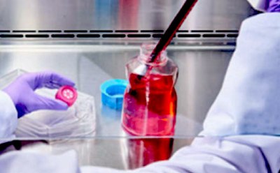 A scientist in a lab coat and gloves pipetting a red liquid into a flask in a laboratory setting.