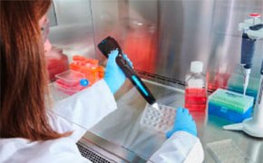 Scientist counting cells using an automated handheld Coulter counter Scientist counting cells using an automated handheld Coulter counter
