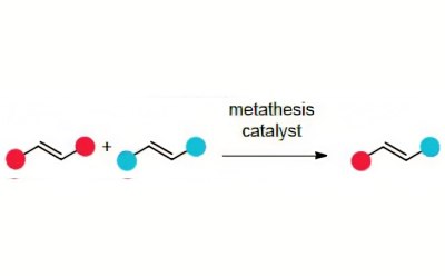 Cross metathesis brings two olefins together in an intermolecular reaction to give an olefin product bearing substituent from each of the starting olefins.