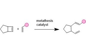 Metathesis