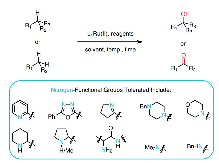 Amine Tolerant Undirected C–H Hydroxylation