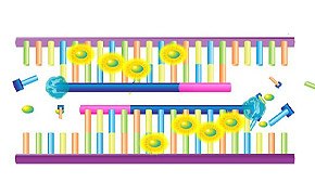 SYBR Green-based qPCR