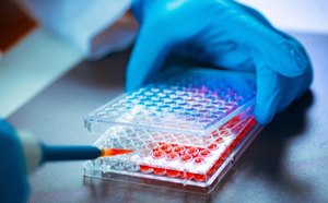 Tissue Engineering