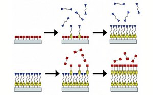 Chemical Vapor Deposition