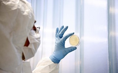 A scientist in a protective suit and gloves examines a petri dish containing a sample, holding it up to the light against a blurred background of laboratory equipment. A scientist in a protective suit and gloves examines a petri dish containing a sample, holding it up to the light against a blurred background of laboratory equipment.