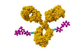 Illustration depicting antibody-drug conjugate (ADC) used to deliver highly active pharmaceutical ingredients Illustration depicting antibody-drug conjugate (ADC) used to deliver highly active pharmaceutical ingredients