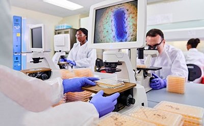 Scientists in a lab analyze samples using microscopes. The setting is modern and busy, and a colorful cell image on a monitor.