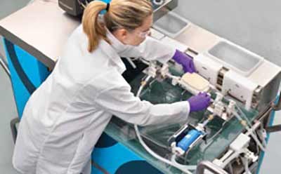 A scientist is diligently working in a laboratory, engaged in the downstream processing of monoclonal antibodies.