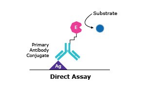 A diagram illustrating a direct assay process. It shows a primary antibody conjugate labeled ‘Ag’ binding to an enzyme labeled ‘E’, which then interacts with a substrate.