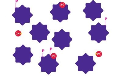 A diagram representing protein pathway inhibition as an example of interrogation of protein pathways which involves chemical screening and treatment, looking at protein activity/enzyme activity, and protein pathway modulation.