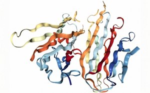 This image appears to be a 3D model of a complex protein structure. The protein consists of multiple intertwined and folded strands, each colored differently to distinguish the various parts.