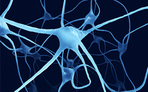 An intricate illustration of neurons, depicted in light blue against a dark blue background, highlighting the complex communication system of the brain with branching dendrites and interconnected neuron bodies.