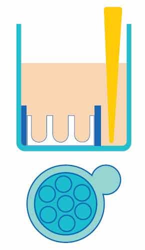 Schematic of Millicell® Microwell plate wells Schematic of Millicell<sup>®</sup> Microwell plate showing the well