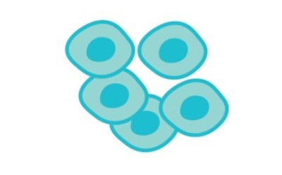 Cell therapies