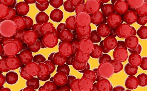 Estapor<sup>®</sup> Microspheres for CLIA Red Estapor® microspheres for chemiluminescence immunoassay.