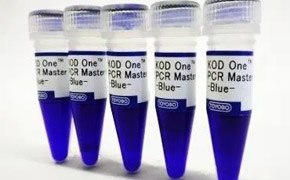 KOD One™ PCR Master Mix