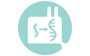 Iconography showing an effective downstream purification process for mAbs manufacturing