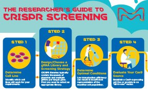 Download your CRISPR Screening infographic