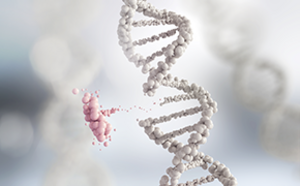 Molecular Biology & Functional Genomics