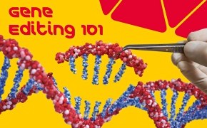 Gene Editing 101 Book