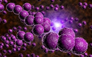A close-up view of a chain of spherical purple objects against a blurred background of similar objects. The spheres are clustered together in a string-like formation, reminiscent of a molecular structure or bacteria chain. Each sphere has a textured surface, giving it a realistic appearance. The background consists of numerous smaller, out-of-focus spheres creating an impression of depth and multitude. There is a bright light source in the center background that illuminates the scene with a soft glow, enhancing the purple hue
