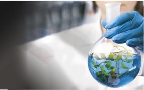 Biodegradable Greener Surfactants 생분해성 친환경 계면활성제