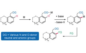 Catalysts schematic workflow