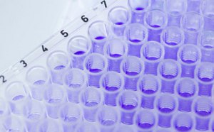 Close-up photograph of multi-pipettes adding samples to the deep well tray of a metabolite library kit with a violet solution in a laboratory.