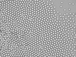 Puce de microfluidique dans un kit de dispositifs NanoFabTx™ Techniques de microfluidique pour la fabrication de nanoparticules et de microparticules pour l'administration de médicamentsMots-clés : système de microfluidique, administration de médicaments par nanoparticules, nanoformulation