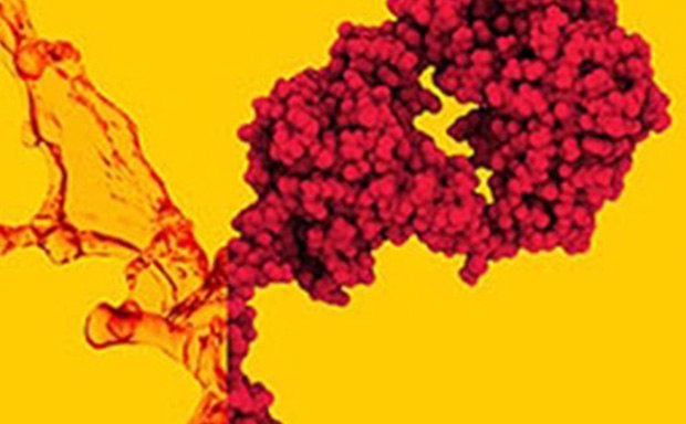 Growth from Cell Culture Medium A microscopic view of cell structures against a yellow background.