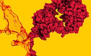 A vibrant image capturing a cluster of red grapes mid-splash against a striking yellow background, creating a lively and dynamic visual effect.