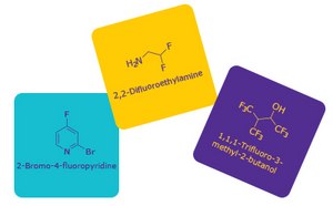 Three chemical structures are depicted on colored geometric backgrounds. On the left, a blue hexagon features “2-Bromo-4-fluoropyridine,” with its corresponding molecular structure showing a pyridine ring with bromine (Br) and fluorine (F) substituents. In the center, a yellow square displays “2,2-Difluoroethylamine,” alongside its molecular formula NH2CHF2. On the right, a purple pentagon presents “1,1,1-Trifluoro-3-methyl-2-butene-1-ol,” with its molecular structure illustrating multiple fluorine (F) atoms and an alcohol group (OH) attached to a branched carbon chain.