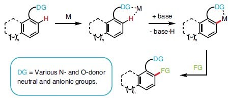 Diagram showing Amine Tolerant Undirected C–H Hydroxylation