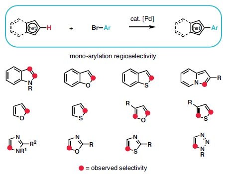 Diagram showing selectivity in Ir-Catalyzed C–H Borylation