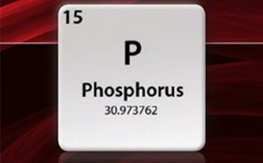 Elemental information for the phosphine atom Elemental information for the phosphine atom