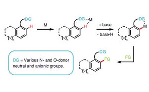 Catalysts schematic workflow