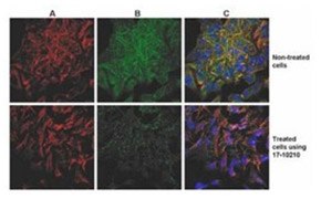 Cell Isolation Kits