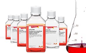 A series of five laboratory bottles containing red liquid arranged in a line with a graduated cylinder partially filled with the same red liquid to the right, set against a white background.