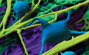 The image presents a microscopic view filled with blue cells and yellow fibrous structures, all set against a purple backdrop.
