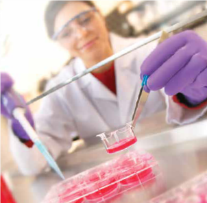 Millicell® cell culture inserts Matériel de culture Millicell® pour des résultats biologiquement pertinents