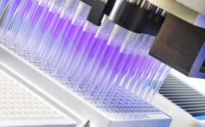 A laboratory setting where a pipetting device is dispensing a purple liquid into the wells of a MultiScreen® 96-well plate.