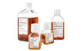 The image displays four amber glass bottles with white labels, each containing a chemical solution for in vitro diagnostic use, marked with ‘Rx Only’. 