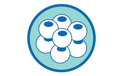 Illustration of a group of round cells with hollow centers, enclosed in a blue circle. Illustration of a group of round cells with hollow centers, enclosed in a blue circle.