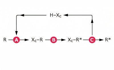 R = A prochiral compound, R* = A chiral compound, H-X<sup>c</sup> = Chiral auxiliary, A = Temp coupling of chiral auxiliary, B = Asymmetric synthesis step, C = Decoupling of chiral auxiliary Diastereoselective transformation using chiral auxiliaries for asymmetric synthesis