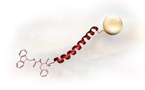 3-D structure of a peptide.